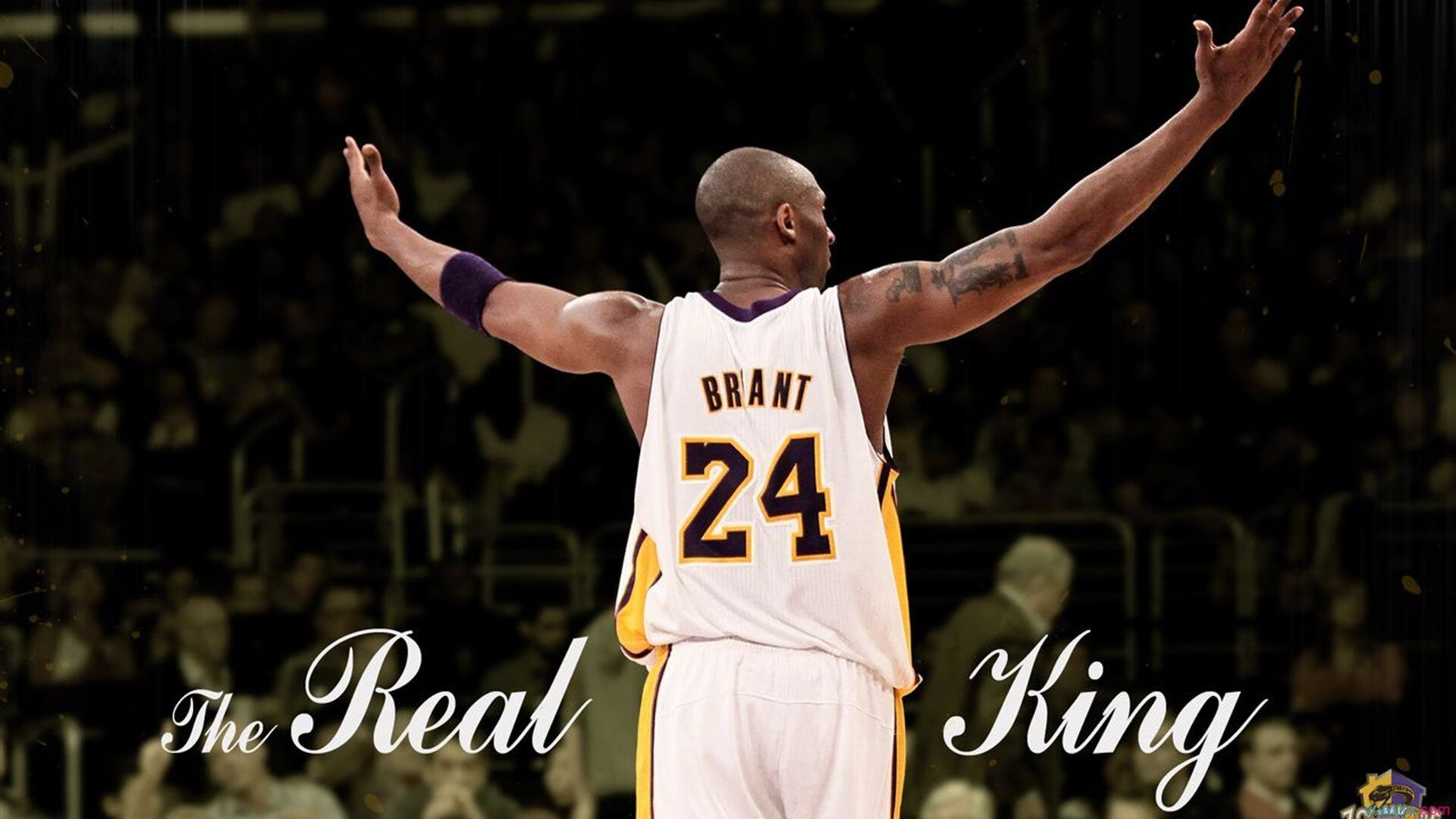 广东队对阵老鹰,莫兰特进攻端无人可挡